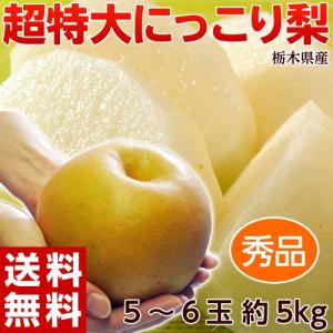 《送料無料》栃木県宇都宮産「にっこり梨」秀品　超大玉5〜6玉 約5キロ frt ☆