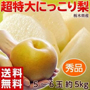 《送料無料》栃木県宇都宮産「にっこり梨」秀品　超大玉5〜6玉 約5キロ frt ☆｜tsukijiichiba