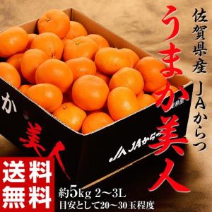 【カード・代引限定】JAからつ 超大玉 うまか美人 佐賀県産 みかん 2L〜3L 約5kg 産地箱 ※常温 送料無料