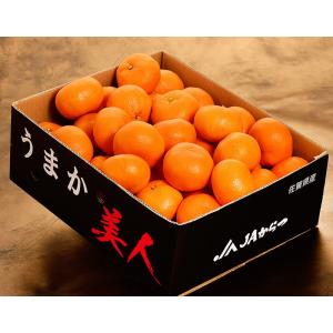【カード・代引限定】JAからつ 超大玉 うまか...の詳細画像5
