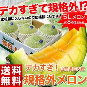規格外の大玉 『庄内メロン（青肉）』 山形県庄内産