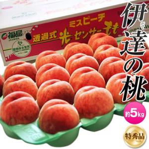 『伊達の桃』福島県産 特秀品 13〜22玉 約5kg　産地箱 ※冷蔵 JAふくしま未来 送料無料 ふくしまプライド。体感キャンペーン（果物/野菜）