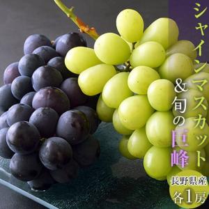 山梨県または長野県産 「シャインマスカット1房＆巨峰1房」 合計約800g ※常温 送料無料
