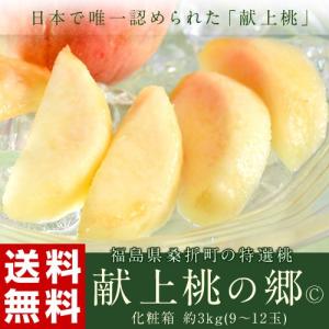 福島県産　桑折の逸品桃「献上桃の郷(c)」 化粧箱　約3kg（9〜12玉)  送料無料 ふくしまプライド。体感キャンペーン（果物/野菜）｜tsukijiichiba