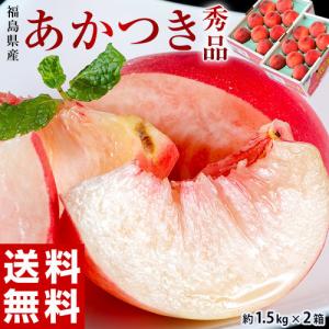 桃 もも ギフト 伊達の桃 あかつき 福島県産 約1.5kg (5〜9玉) × 2箱 秀品 お中元2024 ※常温 送料無料 ふくしまプライド。体感キャンペーン（果物/野菜）