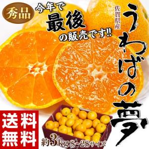 《送料無料》糖度12度以上！佐賀県産みかん 「うわばの夢」 秀品 S〜2S 約3kg frt ☆