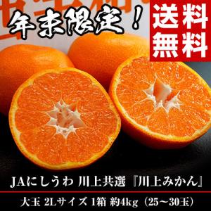 JAにしうわ 『川上みかん』 愛媛県西宇和産 2Lサイズ 1箱 約4kg 産地箱入 ※常温 送料無料