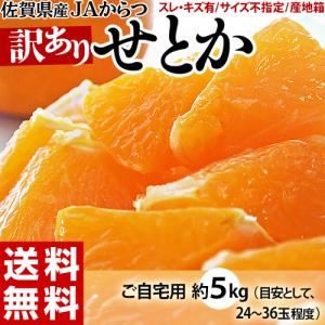 ハウス栽培 せとか JAからつ 佐賀県産 M〜Lサイズ 約2.5kg（12〜18玉