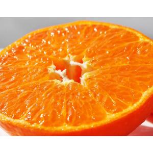 チリ産 レモン 約165玉入 約17.2kg （箱） : 生鮮卸売市場 - 通販