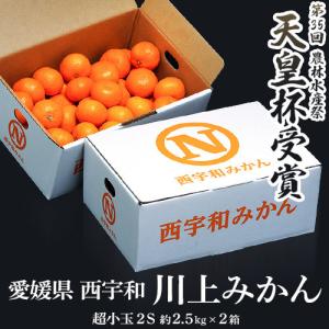 【天皇杯受賞産地】 JAにしうわ 『川上みかん』 愛媛県産 超小玉2Sサイズ 約2.5kg×2箱 合計約5kg ※常温　送料無料