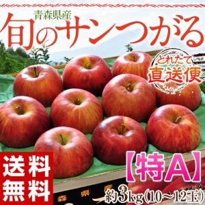送料無料 りんご 青森県産　ＪＡ津軽みらいの「サンつがるりんご」【特A】10〜12玉　約3kg