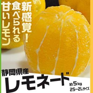 甘いレモン 柑橘 静岡県産 レモネード 約5kg 2S〜2Lサイズ 常温 送料無料｜豊洲からの直送便 ヤフー店