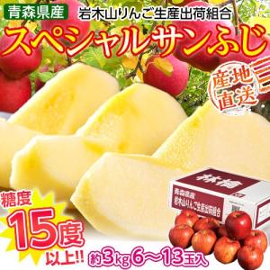 ≪送料無料≫青森県産　糖度15度選果　『スペシャルサンふじ』　約3kg(6〜13玉)　岩木山りんご生産出荷組合 frt ☆