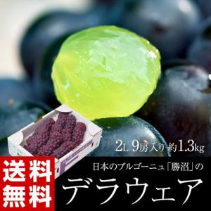 送料無料 山梨県勝沼産　ぶどう『デラウェア』2L 産地箱1箱：9房（約1.3kg）※冷蔵