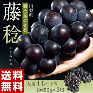 葡萄 ふじみのり 山梨県勝沼産　大粒ぶどう 藤稔 4Lサイズ×2房　(1房約650g) ※冷蔵 送料無料