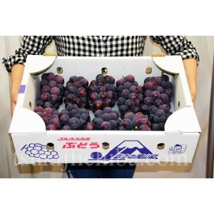 緊急スポットちょっと『訳あり 種なしピオーネ』山梨県産　約5kg(目安 8〜10房)　※冷蔵 frt ☆