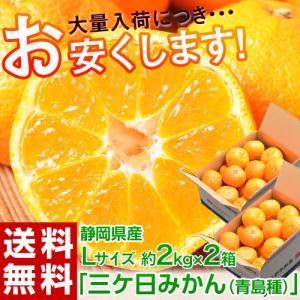 《送料無料》静岡県産 三ケ日みかん（青島） 優・良品 Ｌサイズ 約2kg×2箱 ※常温 frt ○