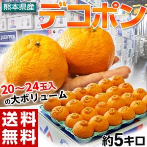 ≪送料無料≫熊本県 貯蔵デコポン 20〜24玉 約5kg (...