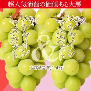 特大シャインマスカット 2房 山梨県産 計約1.4kg ※冷蔵 送料無料
