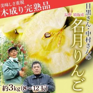 送料無料 長野県須坂産 目黒さん＆中村さんの「名月りんご」約3キロ 8〜12玉｜tsukijiichiba