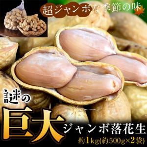 高梨さんの『謎のジャンボ落花生』千葉県成田産 約1kg (500g×2袋) ※冷蔵 送料無料