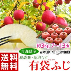 《送料無料》青森県産　岩木山りんご生産出荷組合「葉取らず有袋ふじ」　約3kg(7〜13玉)　※冷蔵 frt ○｜tsukijiichiba