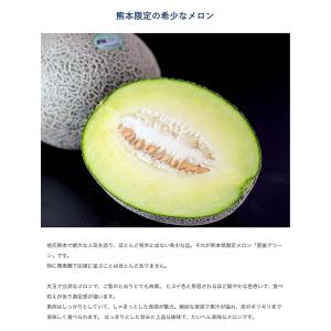 大玉 メロン 肥後グリーン 1玉 約1.6kg...の詳細画像1