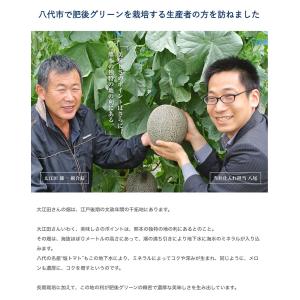 大玉 メロン 肥後グリーン 1玉 約1.6kg...の詳細画像5