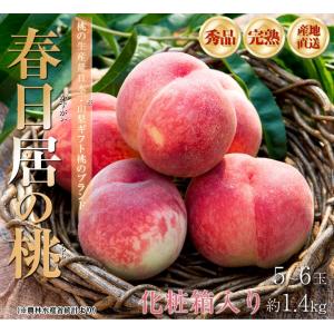 春日居の桃 山梨県産 秀品 5〜6玉(約1.4...の詳細画像1