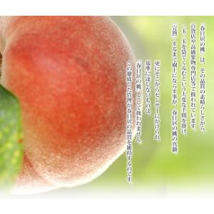 春日居の桃 山梨県産 秀品 5〜6玉(約1.4...の詳細画像3