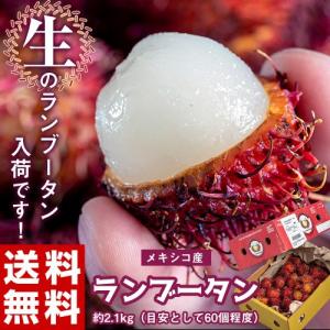 ランブータン 生 （フレッシュ） 約2.1kg （60個前後）