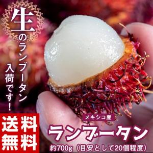 ランブータン 生 （フレッシュ） 約700g（20個前後）メキシコ産