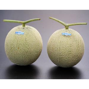 茨城県産 マスクメロン アールス種 化粧箱入り 超大玉　約2kg×2玉