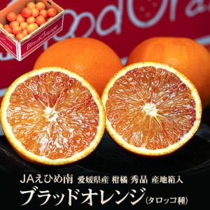 JAえひめ南 ブラッドオレンジ （タロッコ種） 愛媛県産 柑橘 L〜2Lサイズ 秀品 約5kg (30〜45玉）産地箱入 ※常温 送料無料