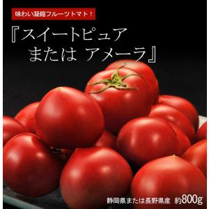 『スイートピュア または アメーラ』 静岡県または長野県産　約800g ○｜tsukijiichiba