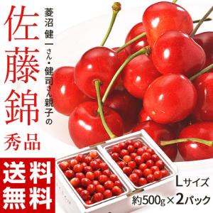 福島県産 菱沼農園 さくらんぼ『佐藤錦』 秀品 Lサイズ 約500g×2パック 産地直送※常温 送料無料 ふくしまプライド。体感キャンペーン（果物/野菜）