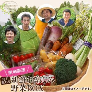 《送料無料》千葉県産 和郷園　お楽しみ野菜BOX 11〜12品目 冷蔵