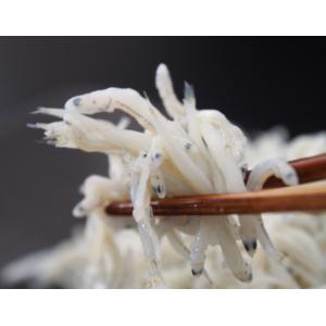『釜あげ旨みシラス』静岡県舞阪産　約1kg　※冷凍 送料無料【★】