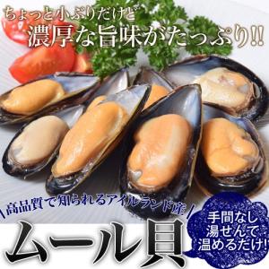 アイルランド産　「ボイル済み　ムール貝」　大ボリューム1キロ　※冷凍　sea　○｜tsukijiichiba