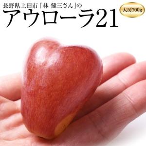 ぶどう 葡萄 ブドウ 長野県産 林健三さんのアウローラ21 1房 約700g 送料無料 産地直送 常温 高級 ギフト 贈答 贈り物
