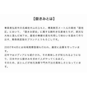 嶽きみ 青森県産 とうもろこし 約3kg (7...の詳細画像3