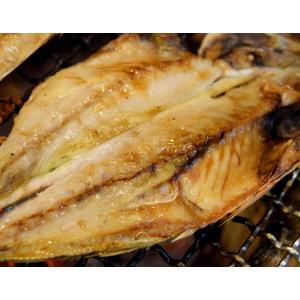 長崎県産 旬アジ(ときあじ)一夜干し 80g×...の詳細画像1