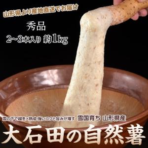 山形県産大石田 雪下 自然薯 じねんじょ 秀品 1キロ（2〜3本入り）
