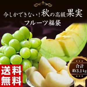 送料無料 詰め合わせ 福袋 築地さよなら果物3種福袋（シャインマスカット、新高梨、みかん）合計 約4kg