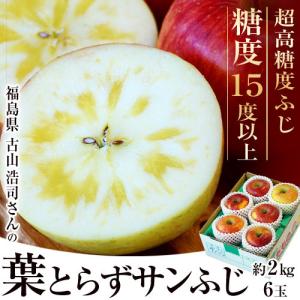 サンふじ 糖度16度以上 古山さんの 葉とらずサンふじ 林檎 約2キロ 6玉 福島県産 送料無料 ふくしまプライド。体感キャンペーン（果物/野菜）