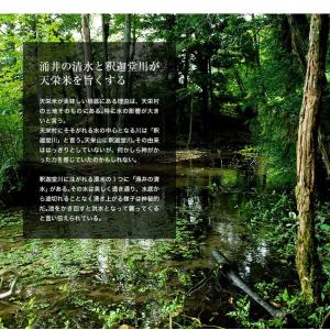 天栄米栽培研究会が作る米 天栄米『ゆうだい21...の詳細画像5