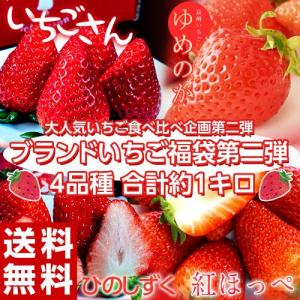 いちご イチゴ 苺 ブランドいちご福袋 第二弾 4品種