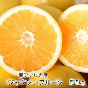 ジャクソンフルーツ 南アフリカ産 約5kg（約2.5kg×2箱：目安