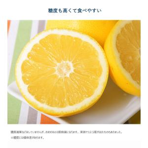 ジャクソンフルーツ 南アフリカ産 柑橘 約5k...の詳細画像4