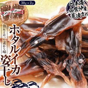 ポイント消化 おつまみ ほたるいか 日本海山陰沖産　ホタルイカ姿干し　30g×2P